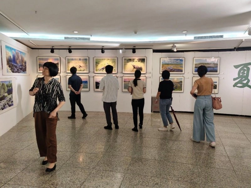 “大美伊春·魅力丰林”四季风光摄影作品展亮相北京中华世纪坛(图5)