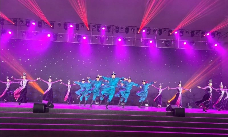 赏胡杨林观歌舞秀,金秋额济纳以文化演艺激活文旅新生态(图3) 赏胡杨林观歌舞秀,金秋额济纳以文化演艺激活文旅新生态(图3)