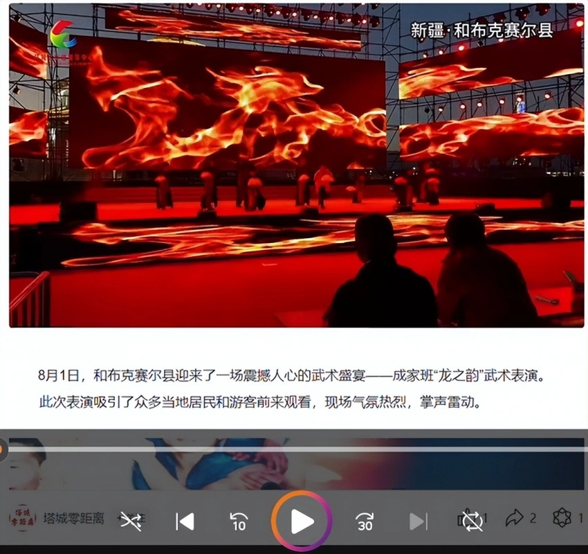 龙韵武艺团2024：纵横艺海，武通中外(图14)