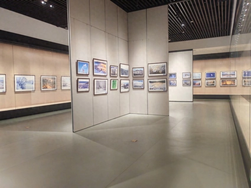 “大美伊春、魅力丰林”冬季风光摄影作品系列展：光影艺术展现魅力丰林时代风采(图1)