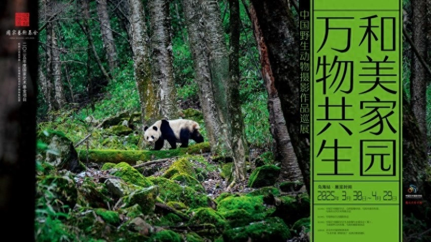 万物共生 和美家园——中国野生动物摄影作品巡展在乌海启幕