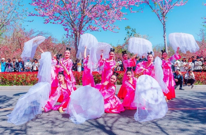 鹤舞樱飞向未来 十有城市展画卷——第十一届鹤壁樱花季全景扫描(图5)