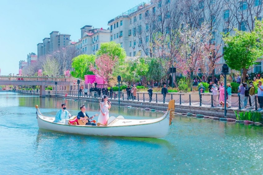鹤舞樱飞向未来 十有城市展画卷——第十一届鹤壁樱花季全景扫描(图8)