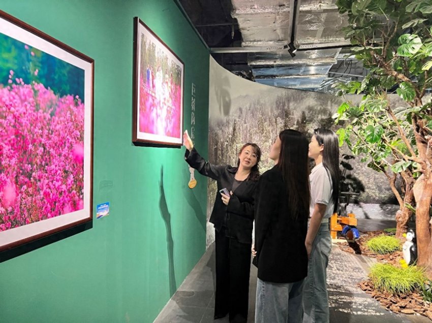 展示丰林四季旅游资源，“大美伊春·魅力丰林”四季风光摄影作品展上海站开