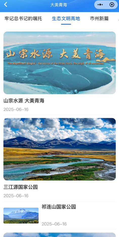 2025年“云上青洽会”：以“全方位立体交互矩阵”展现青海新风貌(图3)