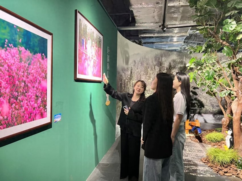 影像为笔，绘就文旅新篇——“大美伊春˙魅力丰林”四季风光摄影作品展三城