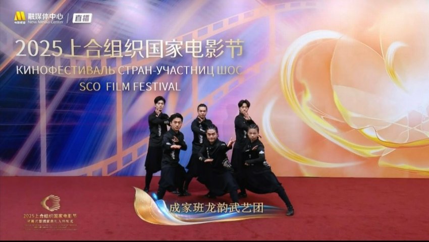 成家班-龙韵武艺团：以武载道，构建中华文化新时代传播的立体范式(图4)