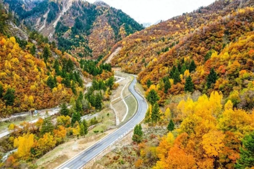 蜀道新颜:四川打造世界级文旅风景道