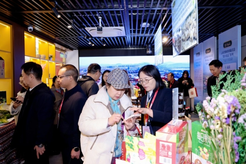 陆良县民族团结进步创建成果展暨“爨乡臻品”系列产品宣介活动在京举办(图8)
