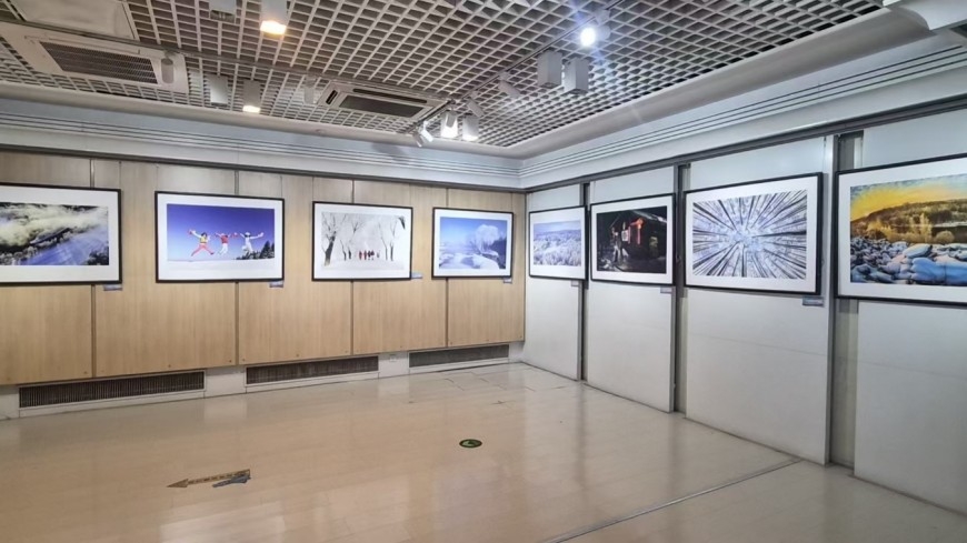 “大美伊春·魅力丰林”冬季风光摄影展哈尔滨站启幕(图4) “大美伊春·魅力丰林”冬季风光摄影展哈尔滨站启幕(图4)