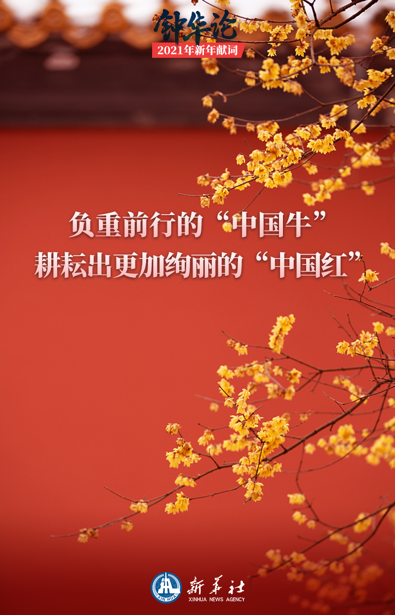 钟华论：新征程，我们再出发——2021年新年献词(图7)