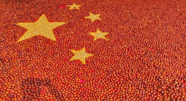陕西神木:累累硕果满枝头,奋楫笃行再出发(图2) 陕西神木:累累硕果满枝头,奋楫笃行再出发(图2)