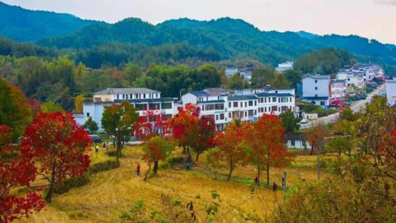 提升黄冈文化软实力 促进经济社会高质量发展(图5)