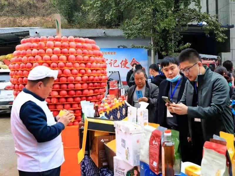 “谷子熟了”——陕西米脂首届乡村文化艺术节开幕(图2) “谷子熟了”——陕西米脂首届乡村文化艺术节开幕(图2)